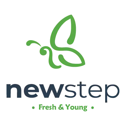 Logo NS Website